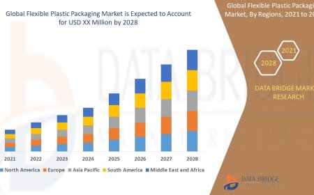 Flexible Plastic Packaging Market Size, Status and Industry Outlook During 2028