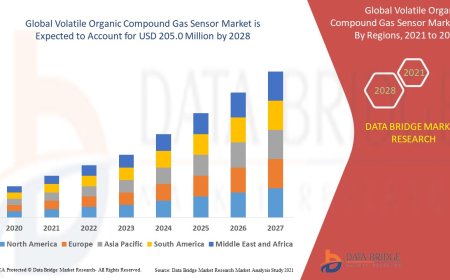 Volatile Organic Compound Gas Sensor Market Size, Status and Industry Outlook During 2028