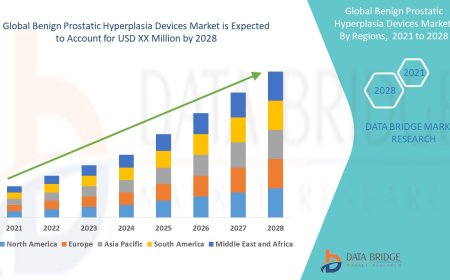 Benign Prostatic Hyperplasia Devices Market Size, Status and Industry Outlook During 2028