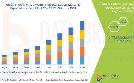 Blood and Fluid Warming Medical Devices Market Size, Status and Industry Outlook During 2029