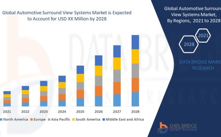 Automotive Surround View Systems Market Size, Status and Industry Outlook During 2028