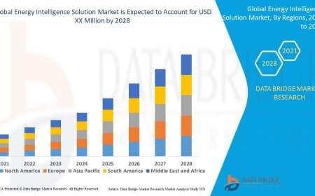 Energy Intelligence Solution Market Size, Status and Industry Outlook During 2028