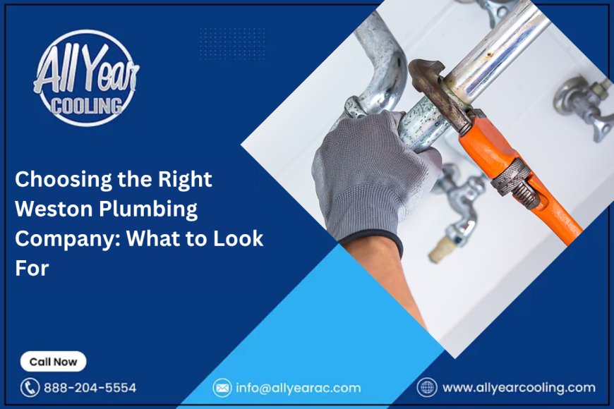 Choosing the Right Weston Plumbing Company: What to Look For