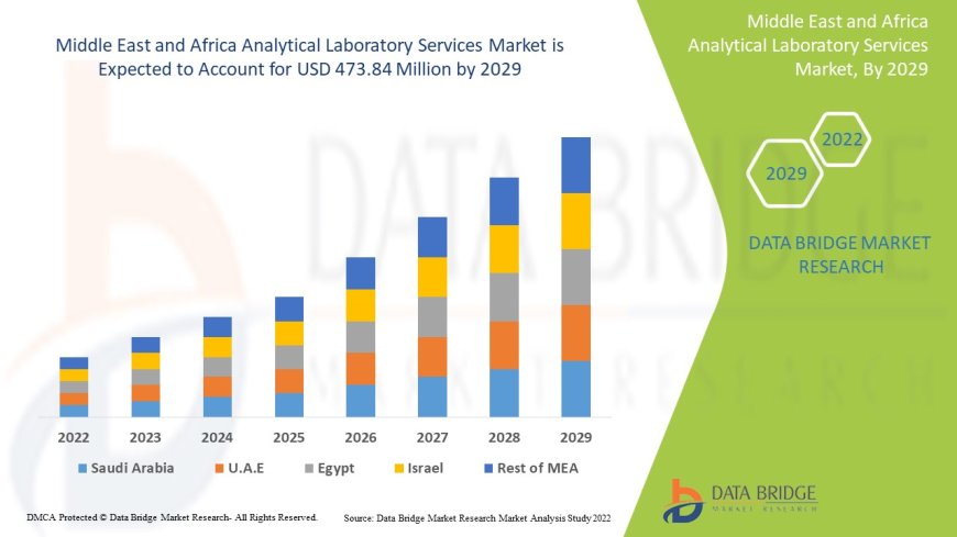 Middle East and Africa Analytical Laboratory Services Market Industry Statistics: Growth, Share, Value, and Trends