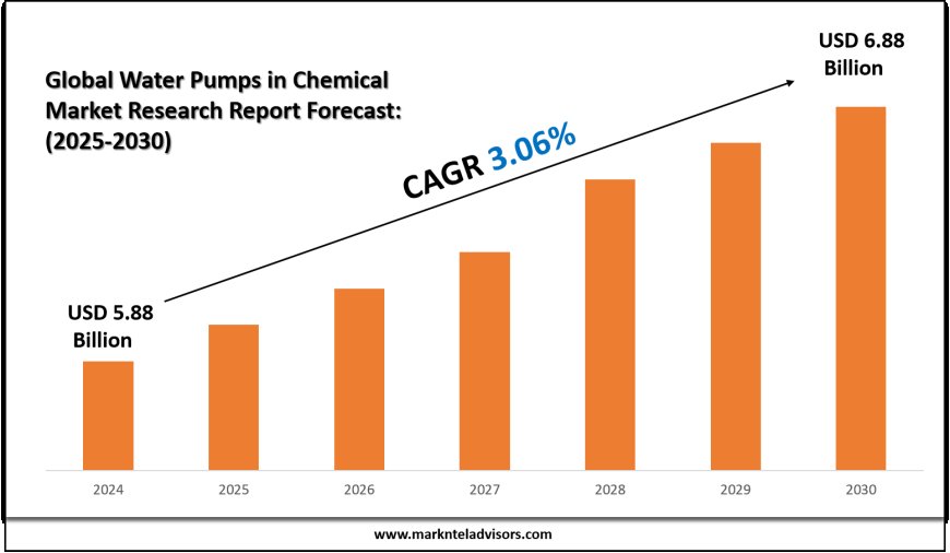 Water Pumps in Chemical Market Overview with Growth Insights