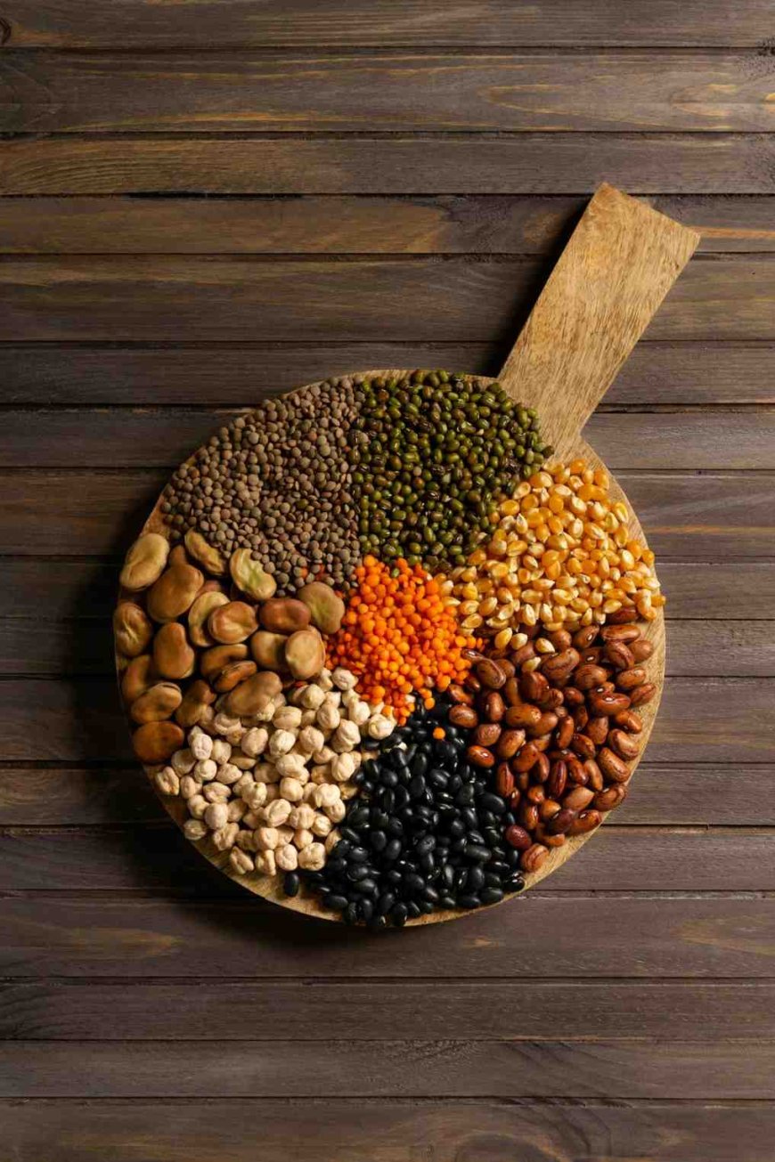 India's Leading Beans Brands & Dealers – Explore & Buy Today!