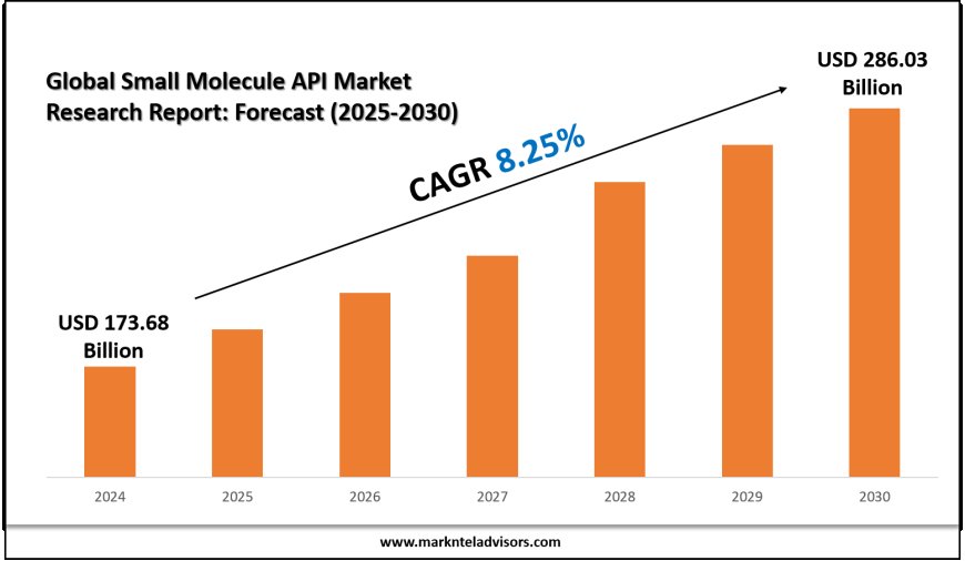 Small Molecule API Market Overview with Growth Insights