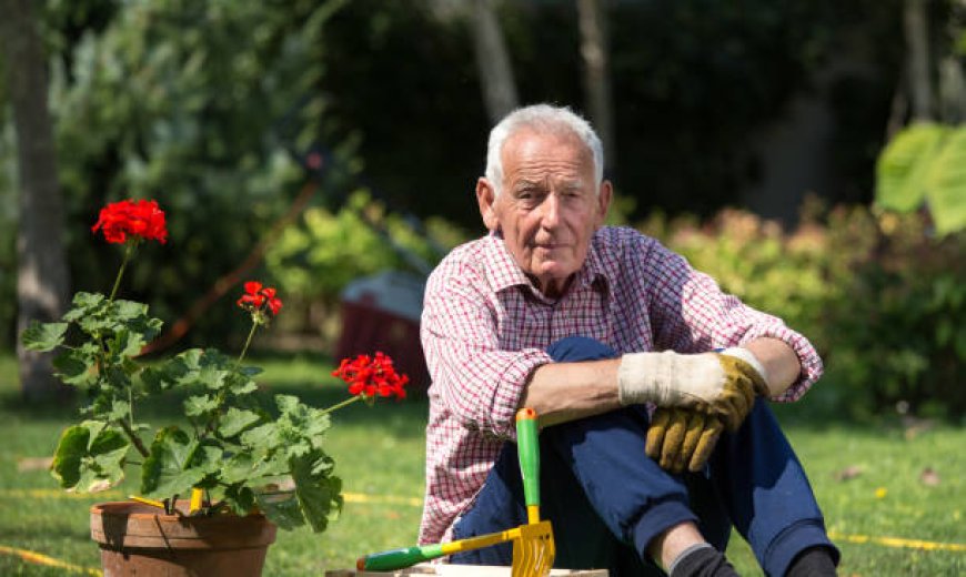 Gardening Tips For Seniors With Limited Space