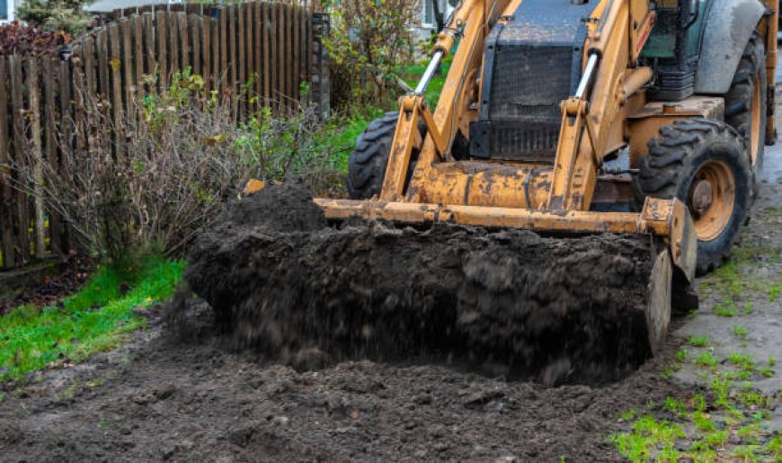Why Underbrush Clearing Is Essential: Expert Land Clearing Services Explained