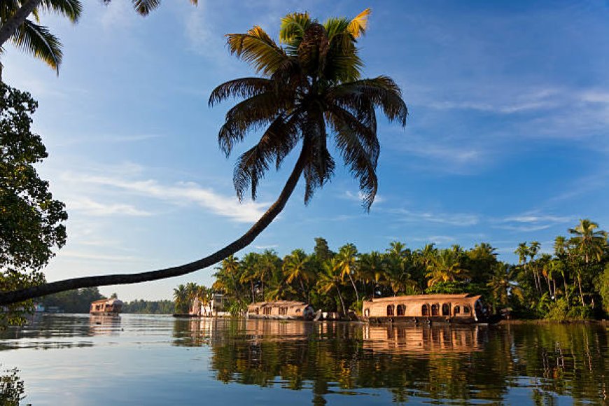 Kerala Tour Packages Under 10000: Unbeatable Deals Await You
