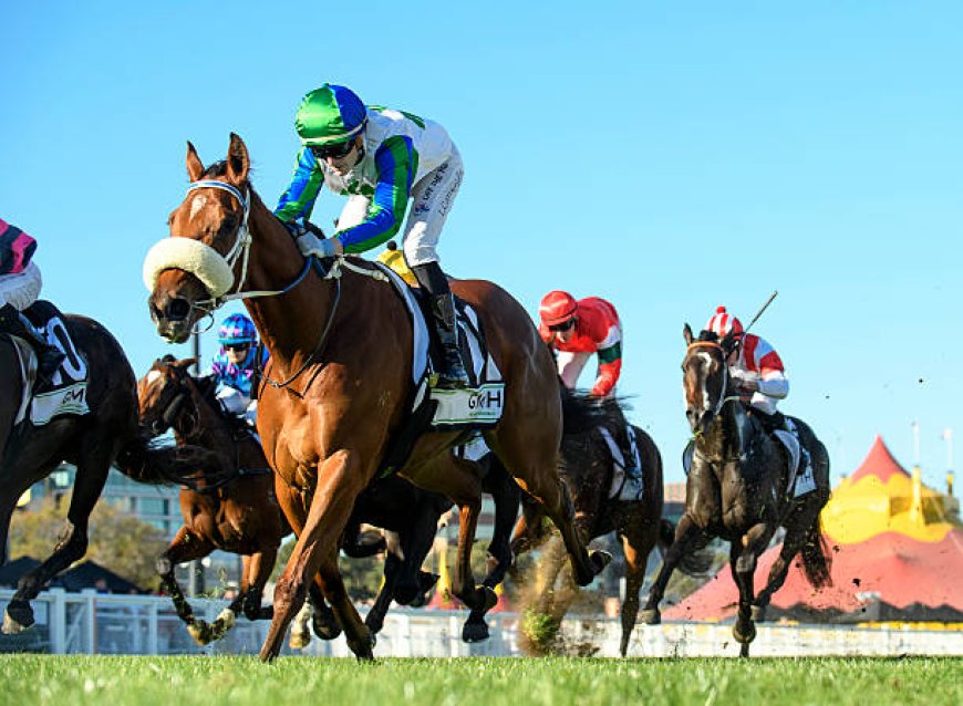 Discover the Best Aussie Betting Sites: A Guide for Smart Punters