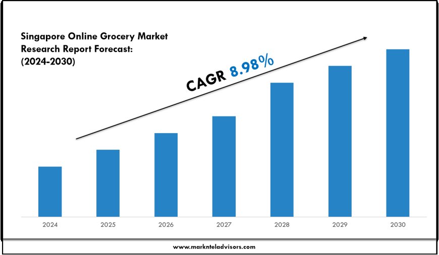 Singapore Online Grocery Market Overview with Growth Insights