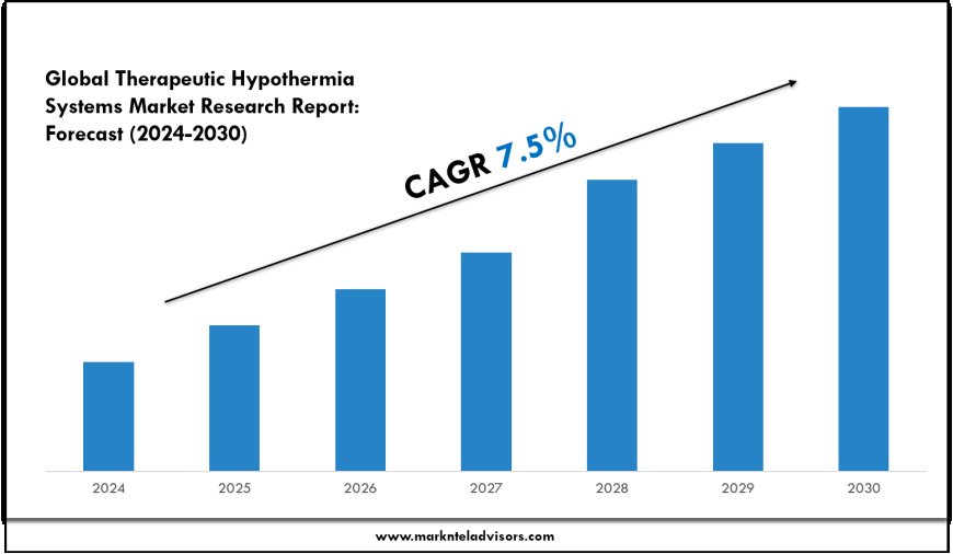 2024 Outlook: Therapeutic Hypothermia Systems Market Growth and Future Trends