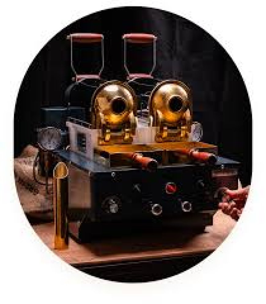 Lab Coffee Roaster 100g: A Professional’s Guide