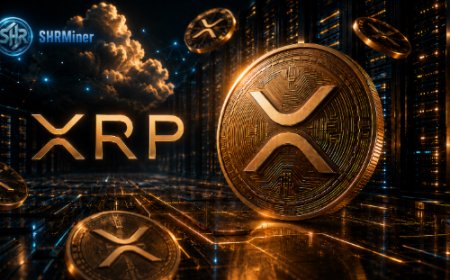 XRP Price Is Down Nearly 71% From Its Peak