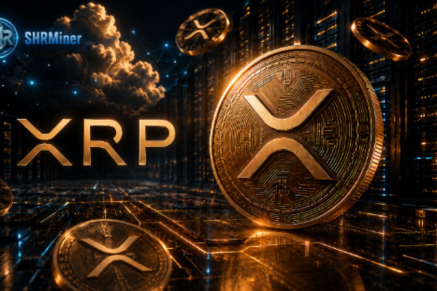 XRP Price Is Down Nearly 71% From Its Peak