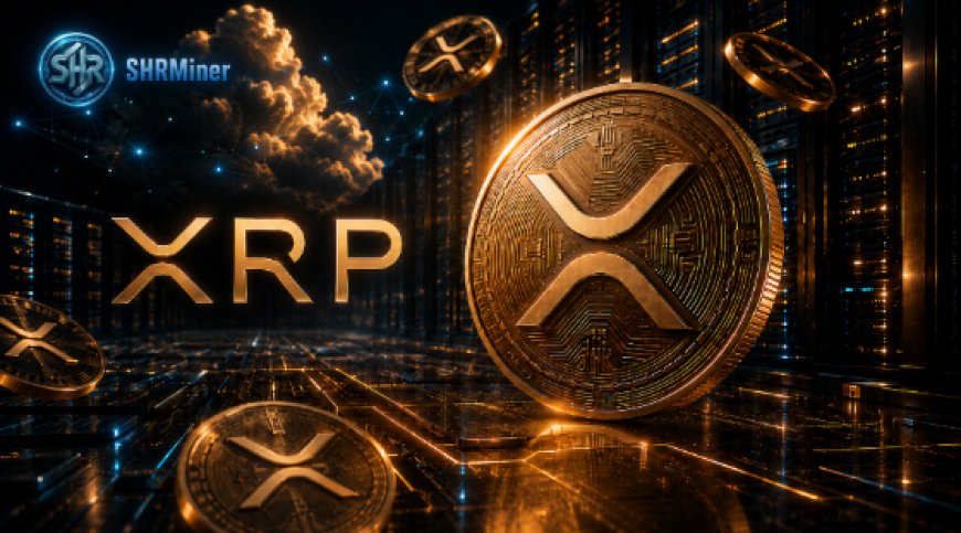 XRP Price Is Down Nearly 71% From Its Peak